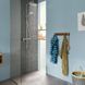 42 079 грн ///  /// Бренд: Hansgrohe
