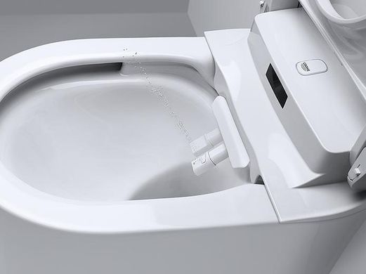 152 550 грн ///  /// Бренд: Grohe
Настінний унітаз-біде для змивних бачків прихованого монтажу