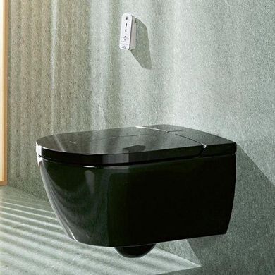 78 246 грн ///  /// Бренд: Villeroy & Boch
С функцией биде